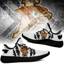 Load image into Gallery viewer, Lehigh Mountain Hawks NCAA Sport Teams Yeezy Boost 350 V2 Trends 2019 T1810 - V05-146