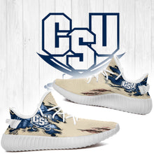 Load image into Gallery viewer, Scratch Charleston Southern Buccaneers NCAA Yeezy Boost 350 v2 Shoes Christmas Gift L1810-216