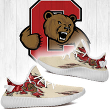 Load image into Gallery viewer, Scratch Cornell Big Red NCAA Yeezy Boost 350 v2 Shoes Christmas Gift L1810-204