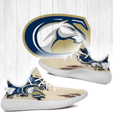 Load image into Gallery viewer, Scratch UC Davis Aggies NCAA Yeezy Boost 350 v2 Shoes Christmas Gift L1810-32