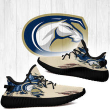 Load image into Gallery viewer, Scratch UC Davis Aggies NCAA Yeezy Boost 350 v2 Shoes Christmas Gift L1810-32